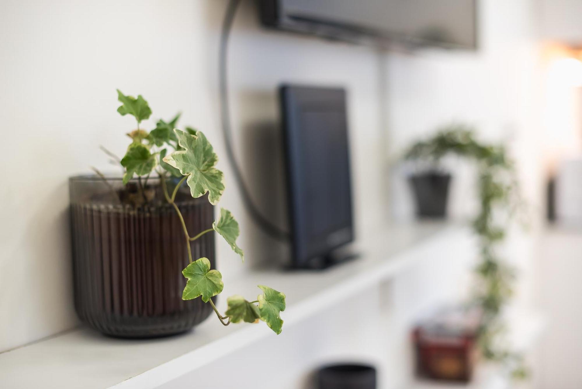 Modern Apartment 200M From Acropolis 100Mbps Netflix Атина Екстериор снимка